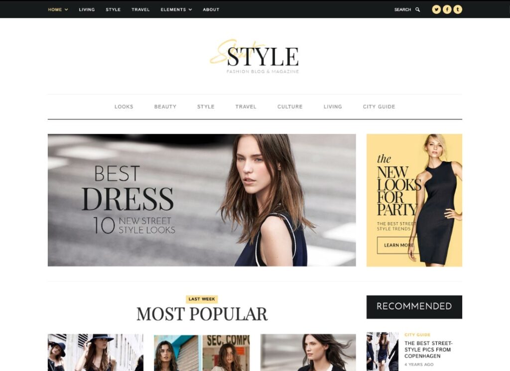 Fashion Blog niches